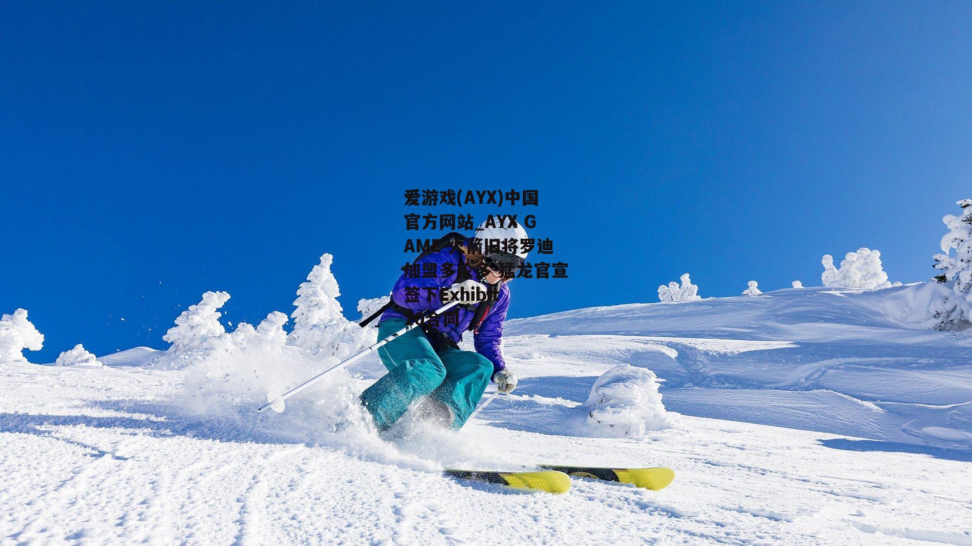 火箭旧将罗迪加盟多伦多 猛龙官宣签下Exhibit 10合同